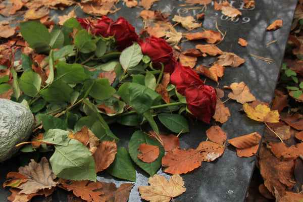 Recibí flores hoy