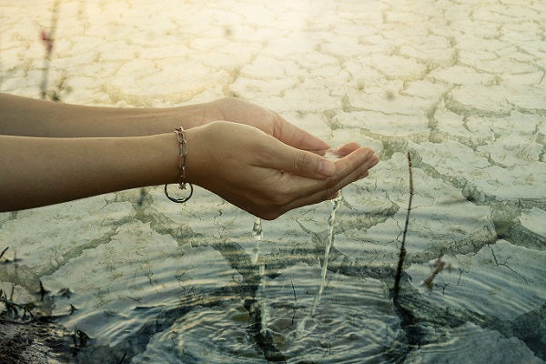 La última Gota