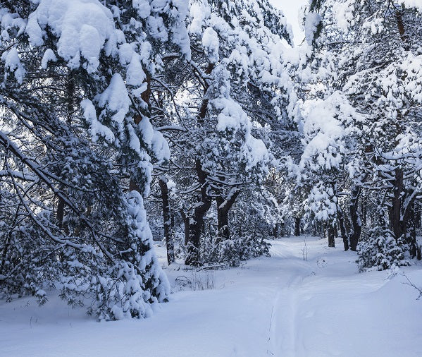 El don de la nieve cálida